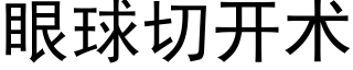 眼球切開術 (黑體矢量字庫)