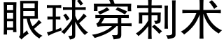 眼球穿刺術 (黑體矢量字庫)