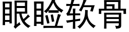 眼睑軟骨 (黑體矢量字庫)