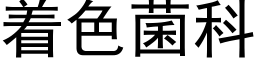 着色菌科 (黑體矢量字庫)