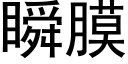 瞬膜 (黑體矢量字庫)