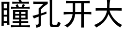 瞳孔開大 (黑體矢量字庫)