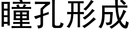 瞳孔形成 (黑體矢量字庫)