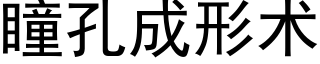 瞳孔成形術 (黑體矢量字庫)