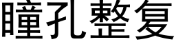 瞳孔整複 (黑體矢量字庫)