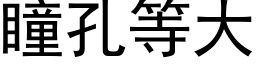 瞳孔等大 (黑體矢量字庫)