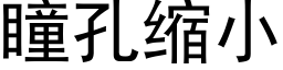 瞳孔縮小 (黑體矢量字庫)