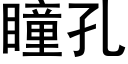 瞳孔 (黑體矢量字庫)