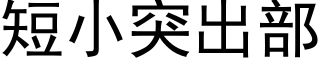 短小突出部 (黑體矢量字庫)