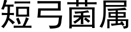 短弓菌属 (黑体矢量字库)