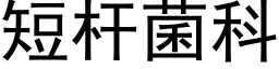 短杆菌科 (黑体矢量字库)