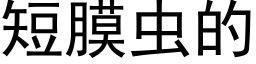 短膜虫的 (黑体矢量字库)