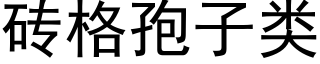 砖格孢子类 (黑体矢量字库)