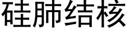 矽肺結核 (黑體矢量字庫)