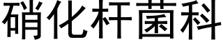 硝化杆菌科 (黑體矢量字庫)