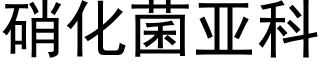 硝化菌亞科 (黑體矢量字庫)