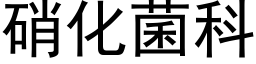 硝化菌科 (黑體矢量字庫)