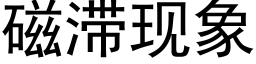 磁滞現象 (黑體矢量字庫)