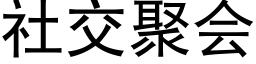 社交聚会 (黑体矢量字库)