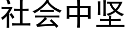 社会中坚 (黑体矢量字库)