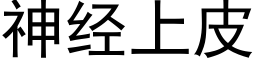 神经上皮 (黑体矢量字库)