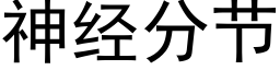 神經分節 (黑體矢量字庫)