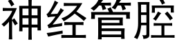 神经管腔 (黑体矢量字库)