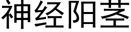 神經陽莖 (黑體矢量字庫)