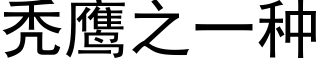 秃鷹之一種 (黑體矢量字庫)