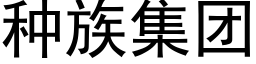 種族集團 (黑體矢量字庫)