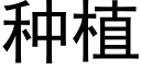 種植 (黑體矢量字庫)