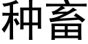 種畜 (黑體矢量字庫)