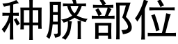 種臍部位 (黑體矢量字庫)