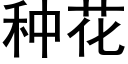 種花 (黑體矢量字庫)