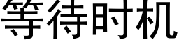 等待時機 (黑體矢量字庫)