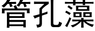 管孔藻 (黑体矢量字库)