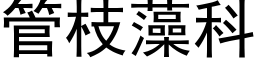 管枝藻科 (黑體矢量字庫)