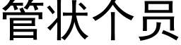 管状个员 (黑体矢量字库)