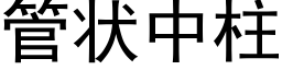 管状中柱 (黑体矢量字库)