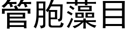 管胞藻目 (黑体矢量字库)