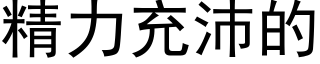 精力充沛的 (黑体矢量字库)