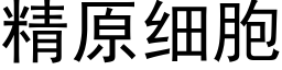 精原细胞 (黑体矢量字库)