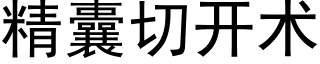 精囊切开术 (黑体矢量字库)