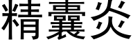 精囊炎 (黑體矢量字庫)