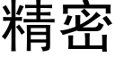 精密 (黑體矢量字庫)