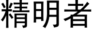 精明者 (黑體矢量字庫)