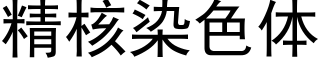 精核染色體 (黑體矢量字庫)