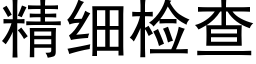 精细检查 (黑体矢量字库)