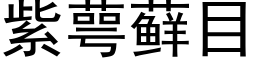 紫萼藓目 (黑体矢量字库)