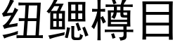 纽鳃樽目 (黑体矢量字库)